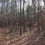 Recreational property for sale in Claiborne Parish