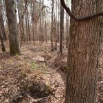 Claiborne Parish Recreational property for sale