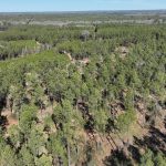 Recreational land for sale in Red River Parish
