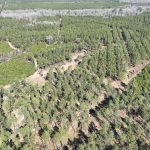 Recreational property for sale in Red River Parish