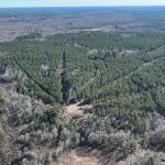 Timberland property for sale in Red River Parish
