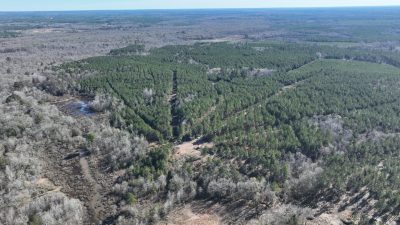 Timberland property for sale in Red River Parish