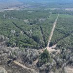 Investment land for sale in Red River Parish