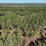 Red River Parish Investment property for sale