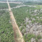 Claiborne Parish Investment land for sale