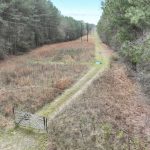 Claiborne Parish Timberland for sale