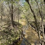 Hunting land for sale in Hempstead County