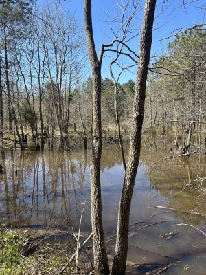 Hunting property for sale in Hempstead County