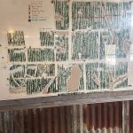 Lafayette County Recreational land for sale