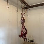 Timberland property for sale in Lafayette County