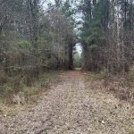 Lafayette County Hunting land for sale