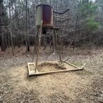 Hunting land for sale in Lafayette County