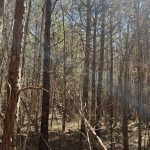 Recreational property for sale in Hempstead County