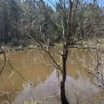 Hempstead County Recreational land for sale