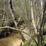 Hempstead County Recreational property for sale