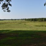 Little River County Pasture land for sale