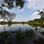 Recreational property for sale in Little River County