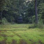Little River County Recreational land for sale