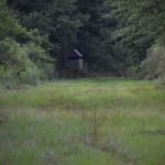 Recreational property for sale in Little River County