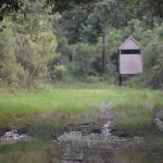 Little River County Hunting land for sale