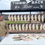 Little River County Timberland property for sale