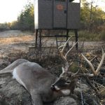 Timberland for sale in Little River County