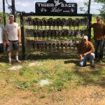 Little River County Timberland property for sale