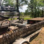 Little River County Pasture land for sale