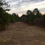 Union Parish Investment land for sale