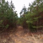 Union Parish Investment property for sale