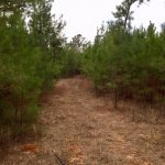 Union Parish Investment property for sale