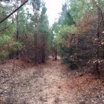 Union Parish Recreational land for sale