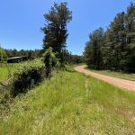 Investment land for sale in Catahoula Parish