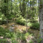 Catahoula Parish Timberland for sale