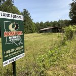 Timberland property for sale in Catahoula Parish