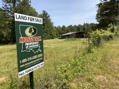 Timberland property for sale in Catahoula Parish