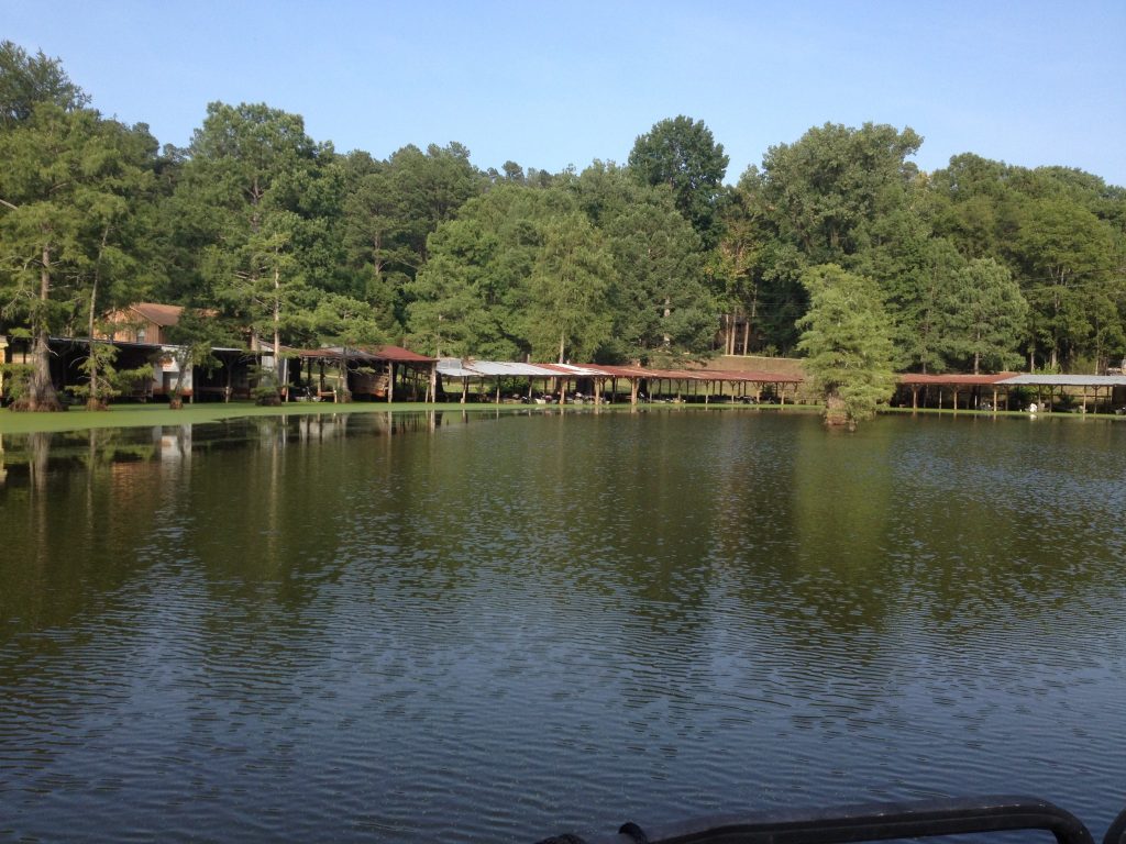 Hempstead County Recreational land for sale