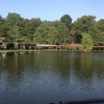 Hempstead County Recreational land for sale