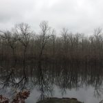 Hempstead County Recreational land for sale