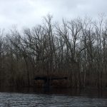 Investment land for sale in Hempstead County