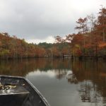 Hempstead County Investment property for sale