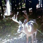 Investment property for sale in Hot Spring County