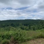 Development land for sale in Hot Spring County