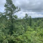 Development land for sale in Hot Spring County