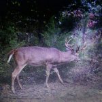 Recreational property for sale in Hot Spring County