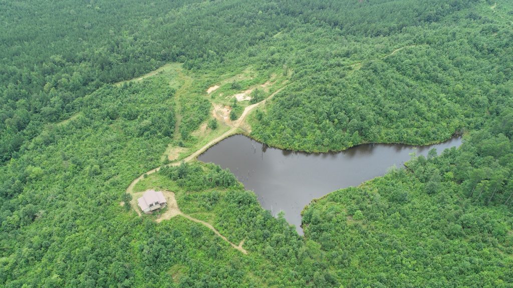 Timberland property for sale in Hot Spring County