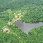 Timberland property for sale in Hot Spring County