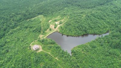 Timberland property for sale in Hot Spring County