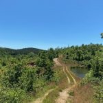 Timberland for sale in Hot Spring County