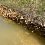 Timberland property for sale in Hot Spring County